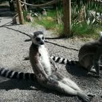 peter Timm - @timm.peter - Instagram