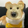 petertimmaxi - @petertimmaxi - TikTok