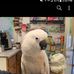 Peter Tinkham - Facebook