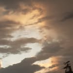 Peter Toala - @toalapeter - Instagram