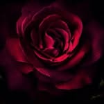 Peter Tokar - @peter_d_tokar - Instagram