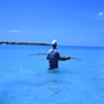 Peter Tomanek - @peter_tomanek - Instagram