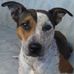 Peter Tomaszewski - Facebook