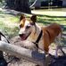 Peter Tomaszewski - Facebook