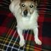 Peter Tomlinson - Facebook