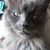 Peter Toms - @petertoms2 - TikTok