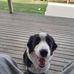 Peter Toogood - Facebook