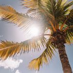 Peter Török - @peter.torok24 - Instagram