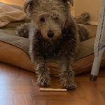 Peter Townsend - @peter.townsend.94 - Instagram