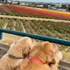 Peter Tran - @peter.777tran - TikTok
