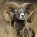 Peter Traub - Facebook