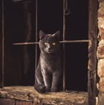 Peter Trego - Facebook