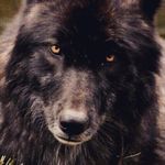 Peter trotter - @petertrotter1972 - Instagram