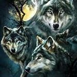 Peter Trotter - @peter.trotter.733 - Instagram