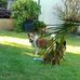 Peter Trotter - Facebook