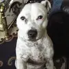 petertrotter985 - @petertrotter985 - TikTok