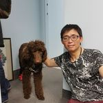 Peter Tsoi - @peter.tsoi.31 - Instagram