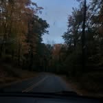 peter tyrrell - @petervtyrrell - Instagram