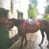 Peter Tyrrell - @peter.tyrrell8 - TikTok