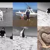 Peter Tyrrell - @peter.tyrrell62 - TikTok