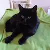 peteruhlig336 - @peteruhlig336 - TikTok