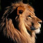 Peter Ulbricht - @peter.ulbricht.31 - Instagram