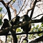Peter Ulbricht - @peter.ulbricht - Instagram