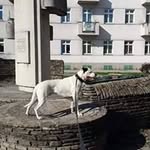 Peter Ullmann - @max_vom_sussen_eck - Instagram