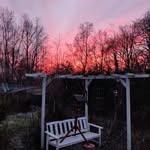 Peter Ullmann - @ullmann500 - Instagram