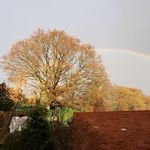 Peter Underhill - @peter.underhill.792 - Instagram