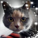 Peter Underhill - @maria23399pest - Instagram