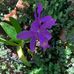 Peter Underwood - Facebook
