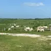 Peter Unger - @peter.unger8 - TikTok