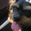 pepper_updike - @pepper_updike - TikTok