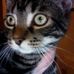 Peter Vaccarella - Facebook