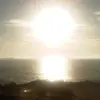 petervaillante - @petervaillante - TikTok