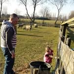 Peter van Acht - @petervanacht - Instagram