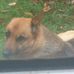 Peter Vanderheyden - Facebook