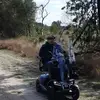 petervanderwallen - @petervanderwallen - TikTok