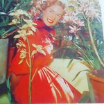 Peter Vandyke - @petervandykeorchids - Instagram