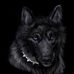 Peter Vanek - Facebook