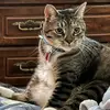 VanTassel - @vantassel - TikTok