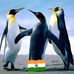 Peter Varghese - Facebook