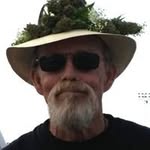 GrizzWeed - @peter_vars - Instagram