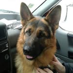Петер Василев Христев - @petervasilevkhr - Instagram