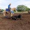 Peter Vazquez🤠 - @peter.vazquez61 - TikTok