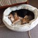 Peter Veit - Facebook