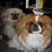 Peter Veit - Facebook