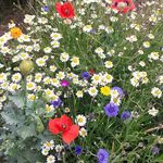 Peter Veit - @diane_veit - Instagram