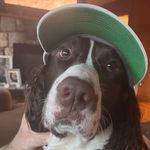 Peter veitch - @peterveitch1 - Instagram
